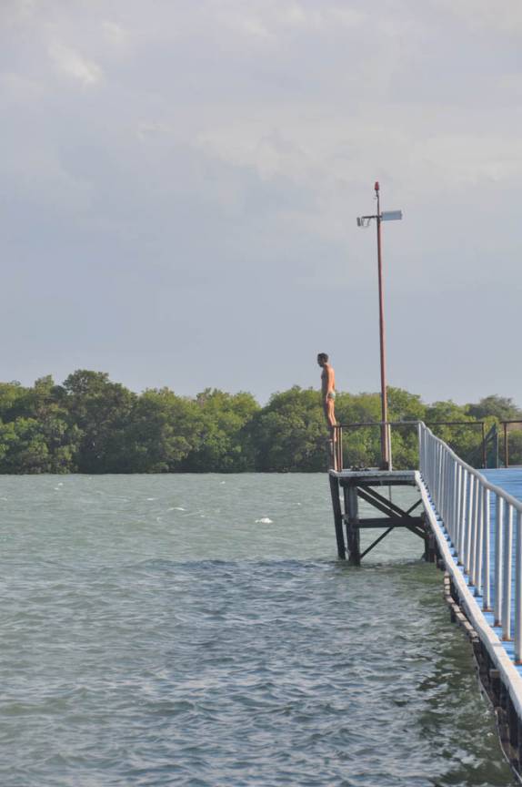 Pronto para mergulhar no rio em Galos, região de Galinhos - RN